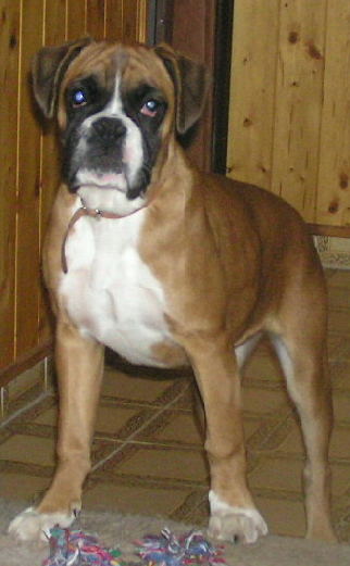 Carmen 3824.jpg