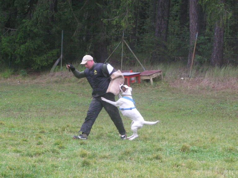 3srazBoruvka25.jpg