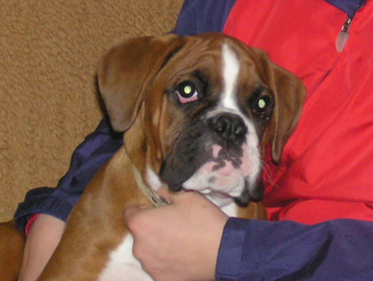 Cezar01.jpg