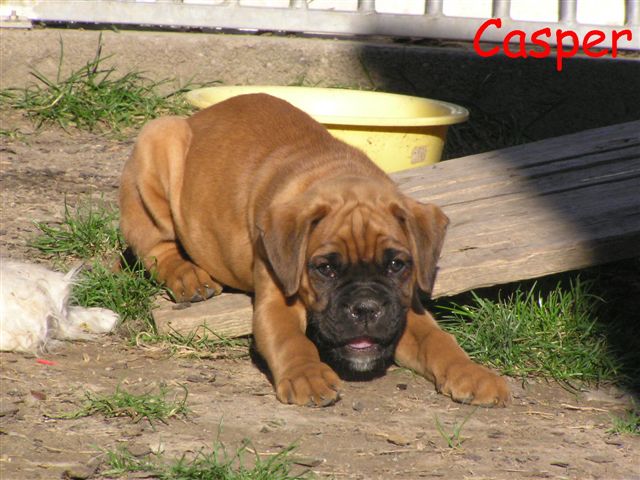 Casper 020.jpg