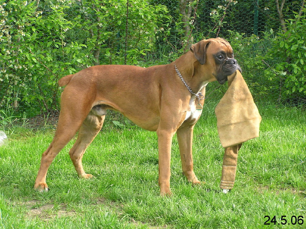 Carlos098.jpg