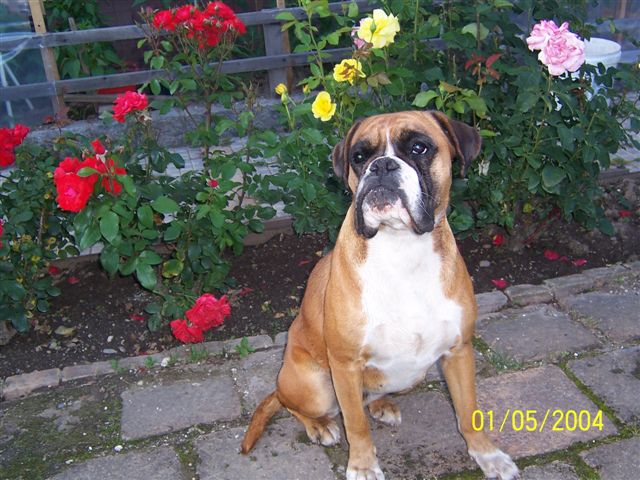 Carmen 0251.jpg