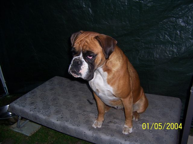 Carmen 0252.jpg